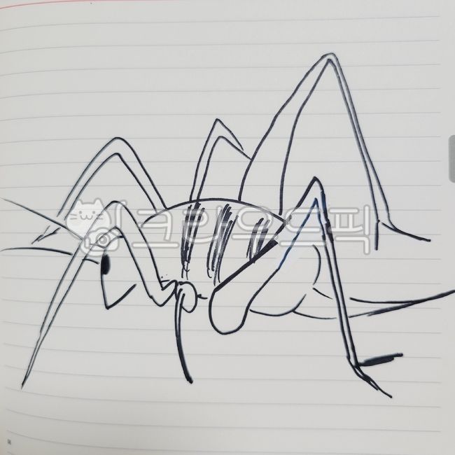 그림,밑그림,드로잉,미술,drawing,art,펜,펜아트,animal,동물,곤충,insect,invertebrate,무척추동물,곱등이