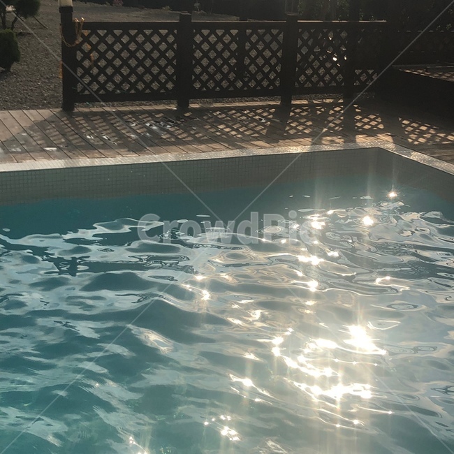 pool,풀,water,물,수영장