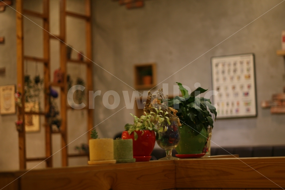소품,인테리어,장식,사물,귀여움,식물,자연,plants,nature,인테리어,실내디자인,interior design