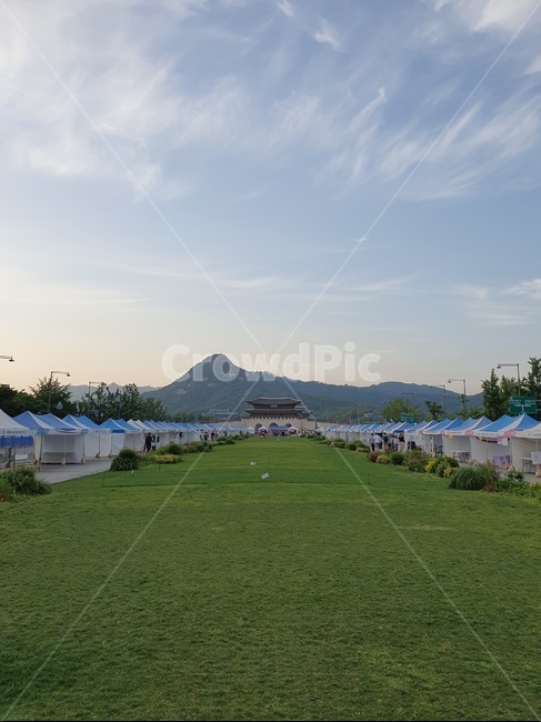 서울,종로,광화문,광장,잔디,도심,풍경,하늘,구름,한국전통,한국랜드마크