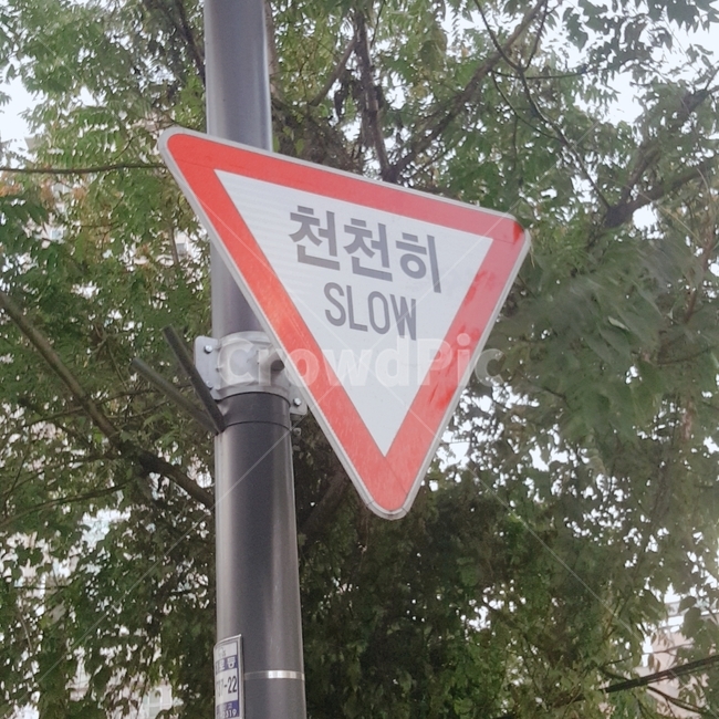 표지판,천천히,안내판,싸인,slow