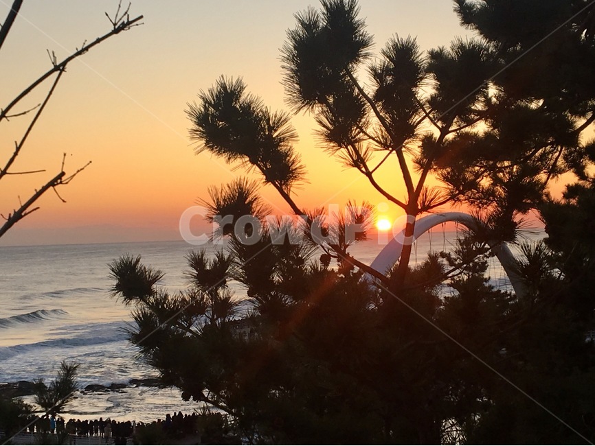 일출,새해,소나무,풍경,태양,해,강릉,1월1일,sunset,landscape,동해바다,강문해변,바다,파도,자연,풍경,nature,landscape,outdoors,옥외,일몰,red sky,붉은 하늘,sky,하늘,dusk,황혼,dawn,새벽,sunlight,햇빛
