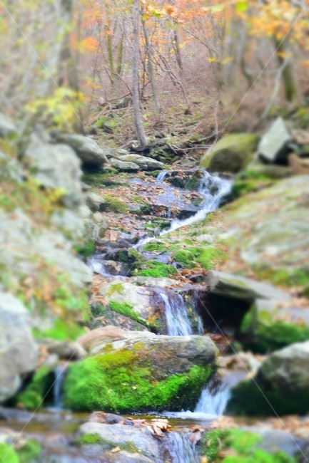 노고단,지리산,자연,작은계곡,흐름,가을,계절,fall,autumn,season,자연,풍경,nature,landscape,water,물,outdoors,옥외,stream,creek,작은 만