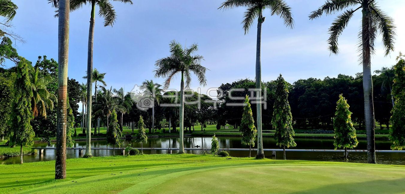 인도네시아골프,동남아골프,field,골프코스,golfcourse,골프장,필드,야자수,페어웨이,그린
