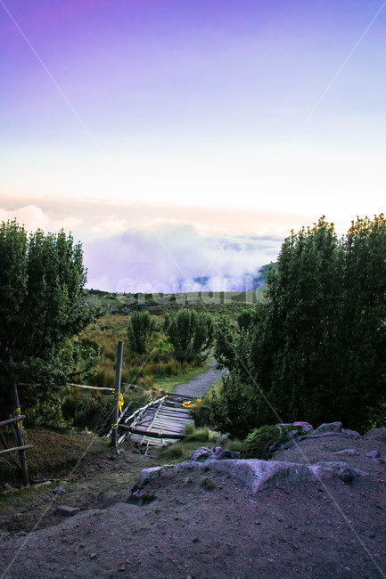 산,하늘,구름,자연,풍경,외국,남미,mountain,sky,cloud,nature,landscape,foreing,자연,풍경,nature,landscape,해외,외국,세계,foreign,oversea,world,세계자연풍경,해외자연풍경,외국자연풍경,world nature landscape,abies,아비,plant,식물,tree,나무,fir,전나무