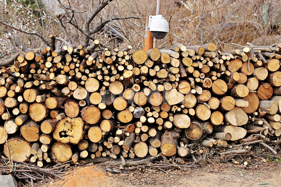 woods,wood,나무,땔감,목재,최참판댁,나무,trees,wood
