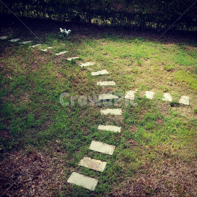 닭,징검다리,잔디밭,힐링,한적한,자연,풍경,nature,landscape,ground,바닥,flagstone,판석,plant,식물,grass,잔디