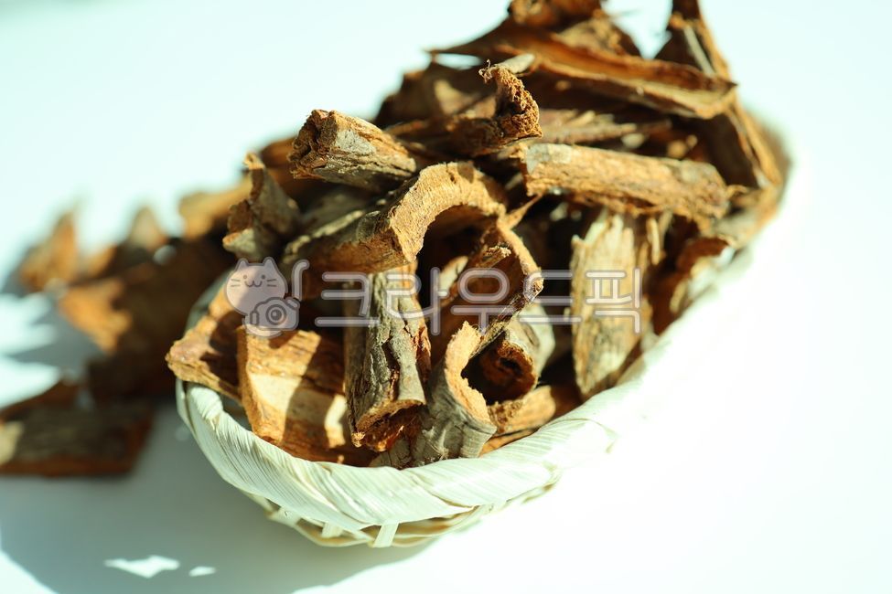 tree bark,dried root bark,Root skin,elm tree,wood,elm bark