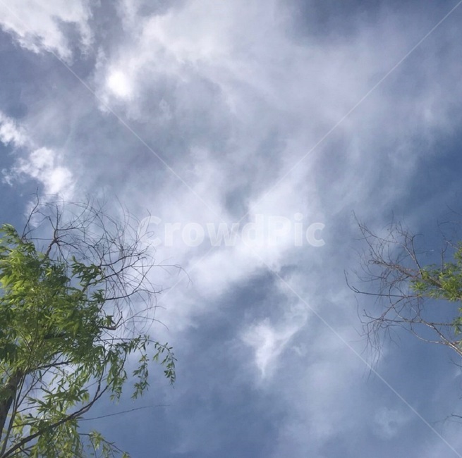 하늘,여름,summer,sky,cloud,자연,풍경,nature,landscape,weather,날씨,outdoors,옥외