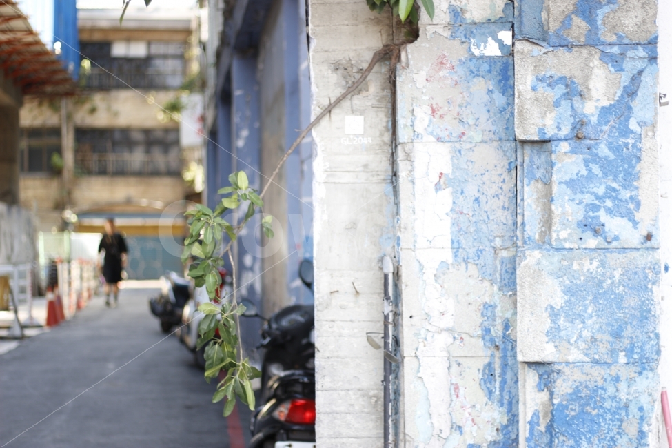 사람,골목,여행,벽돌,길,골목길,alley