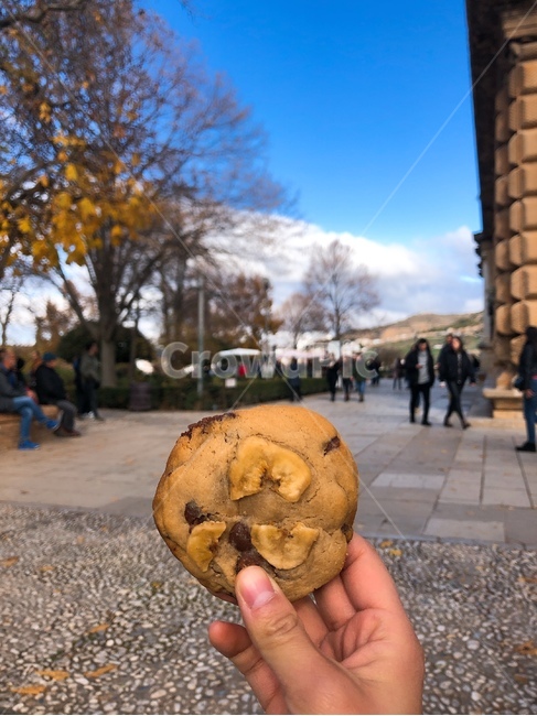 쿠키,초코칩쿠키,바나나칩쿠키,cookie,chococookie