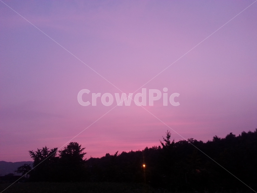 저녁,시골,노을,자연,풍경,하늘,나무,nature,pink,trees,자연,풍경,nature,landscape,실루엣,그림자,silhouette,shadow,outdoors,옥외,sky,dusk,황혼,sunset,일몰,red sky,붉은 하늘,dawn,새벽