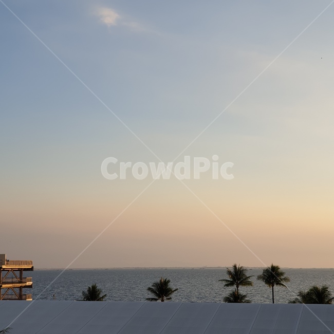 방파제,바다,해변,해질녘,노을,야자수,palmtree,beach,sea,sunset