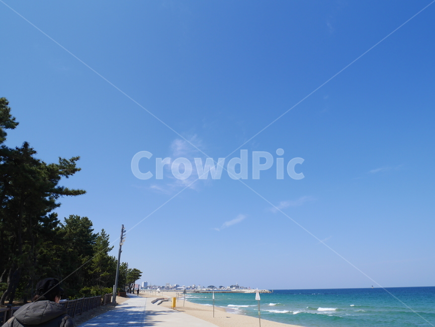 하늘,푸른하늘,나무옆바다,푸른바다,구름,해변,해수욕장,해변,바다,beach,sea