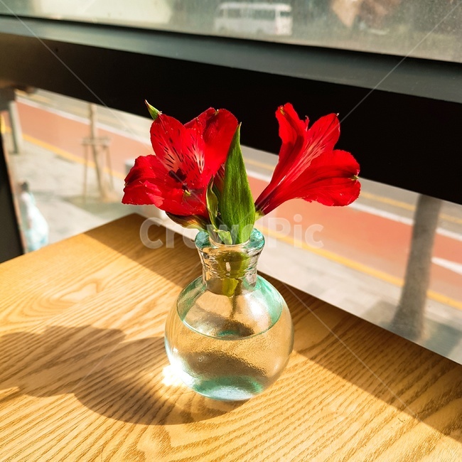 카페,꽃,빨간꽃,햇빛,햇살,flower,red,redflower,유리병,붉은