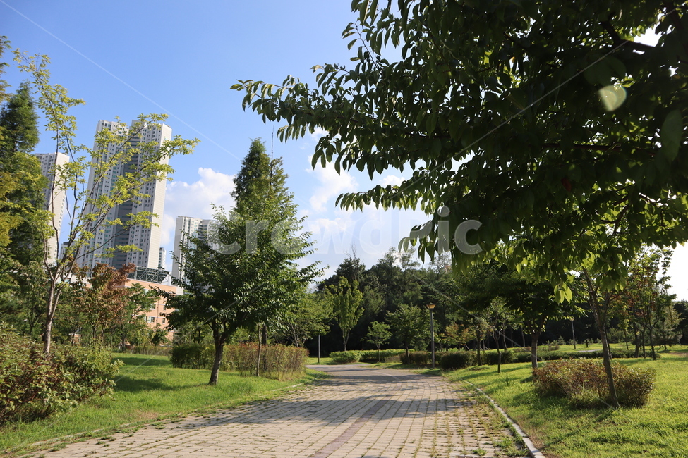 park,공원,아파트공원,여름,낮