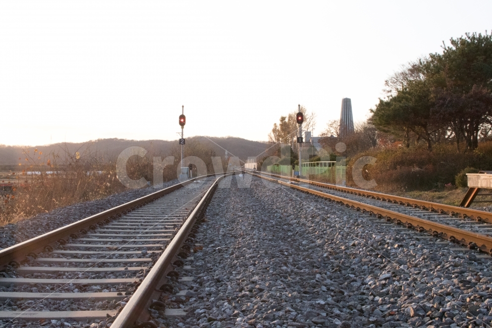 임진각,임진강역,철로,노을,나무,가을,계절,fall,autumn,season,교통,교통수단,traffic,transportation,rail,레일,train track,기찻길,railway,철도