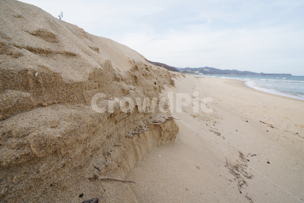기곡,해수욕장,파도,soil,흙,outdoors,옥외,nature,목초지,grassland,모래,sand,자연,field,들,beach,자연,풍경,nature,landscape