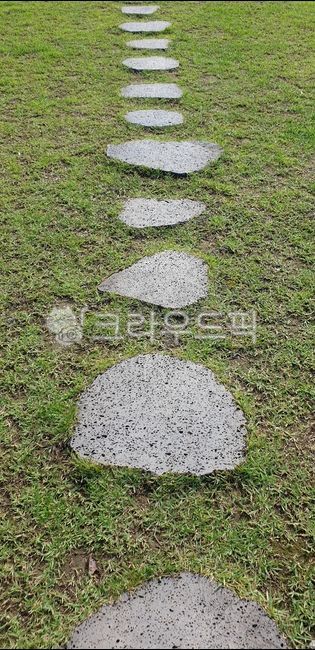 stone path,stepping stone,color,Color,Emotional photo,rock,trail,path,grass,garden stone path,stonepath,stone road,Emotion,landscape,floor stepping stone