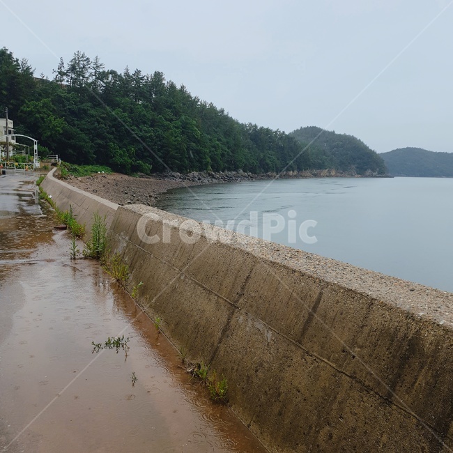 시골,바다,으스스,해변,새벽