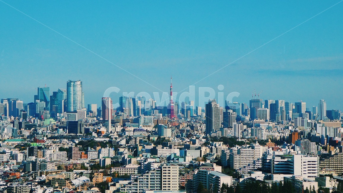 도쿄,풍경,여름,일본,도시,건물,하늘