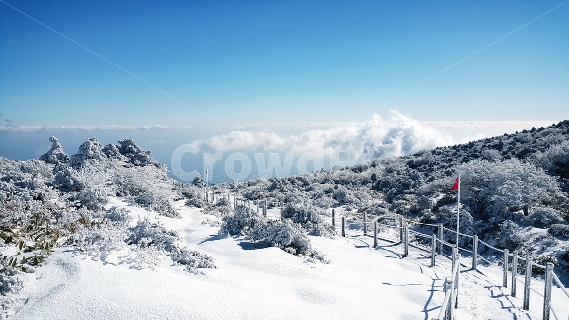 한라산,slope,눈꽃,자연,겨울,겨울,계절,winter,season,자연,풍경,nature,landscape,한국자연풍경,한국자연경관,korea nature landscape,outdoors,옥외,plant,식물,tree,나무,경사,mountain,산