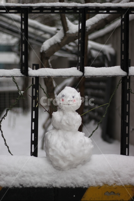 겨울,눈사람,눈,계절,winter,겨울,계절,winter,season