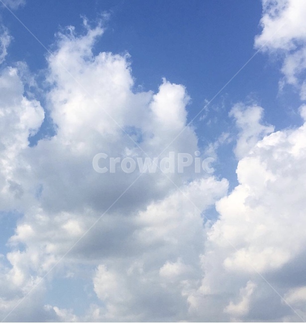 하늘,구름,파랑,자연,흰구름,감성,sky,nature,blue