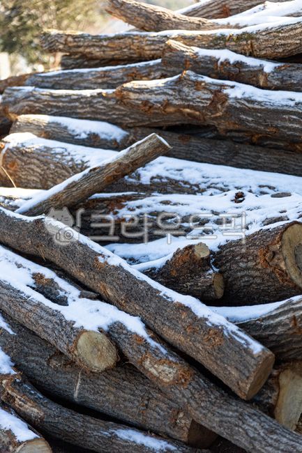 wood,목재,lumber,재목,tree,나무,장작,firewood,눈,snow,겨울,winter,겨울감성