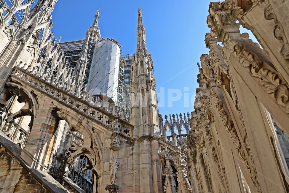밀라노,밀라노대성당,milan,두오모성당,duomodifirenze,랜드마크,landmark,tourist attraction,해외,외국,세계,foreign,oversea,world,세계랜드마크,해외랜드마크,외국랜드마크,world landmark,world tourist attraction,건축물,건물외관,exterior,building,structure,architecture,construction,건물,tower,탑,steeple,뾰족한 탑,spire,첨탑