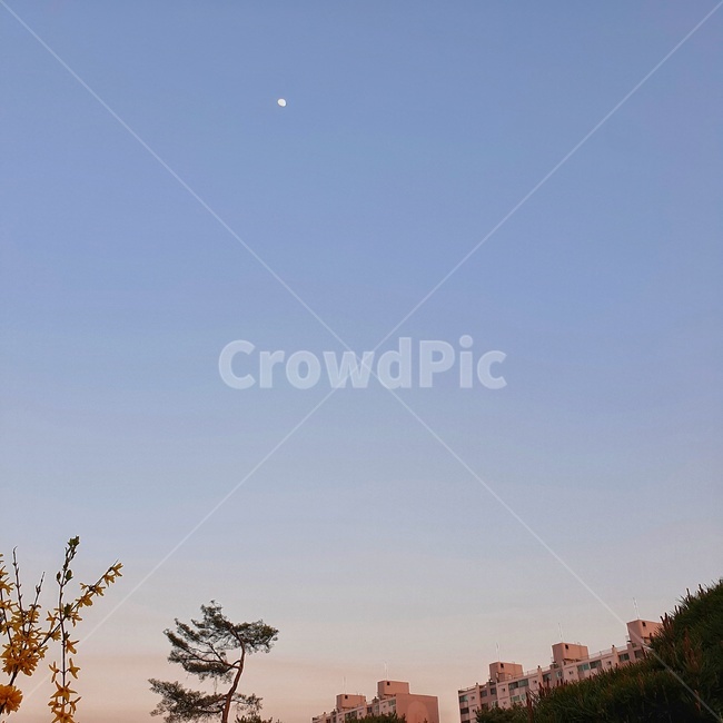 봄,봄하늘,밤하늘,그라데이션,달