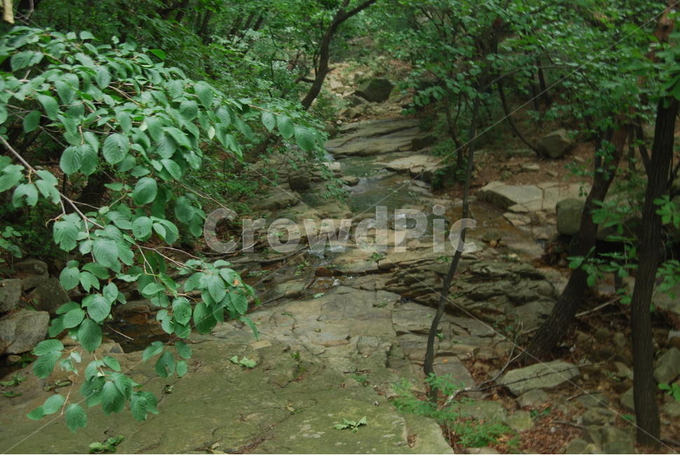 산,자연,나무,휴양지,공원,자연,풍경,nature,landscape,path,통로,slate,슬레이트