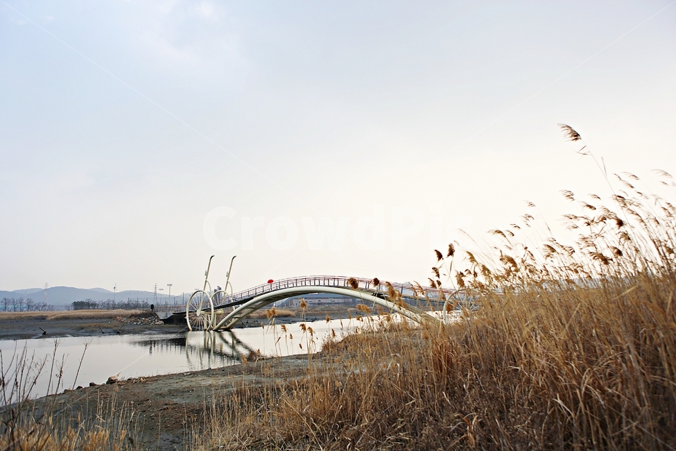 미생의다리,다리,갯벌,바다,생태공원,자연,배경,풍경,자연,풍경,nature,landscape,grass,잔디,plant,식물,lawn