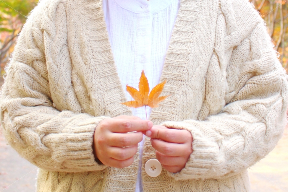 감성사진,색감,풍경사진,사람,단풍잎,단풍,여자,가디건,자연,손,가을,계절,fall,autumn,season,식물,자연,plants,nature,사람,인물,인간,human,person,신체일부,몸,body,sweater,스웨터