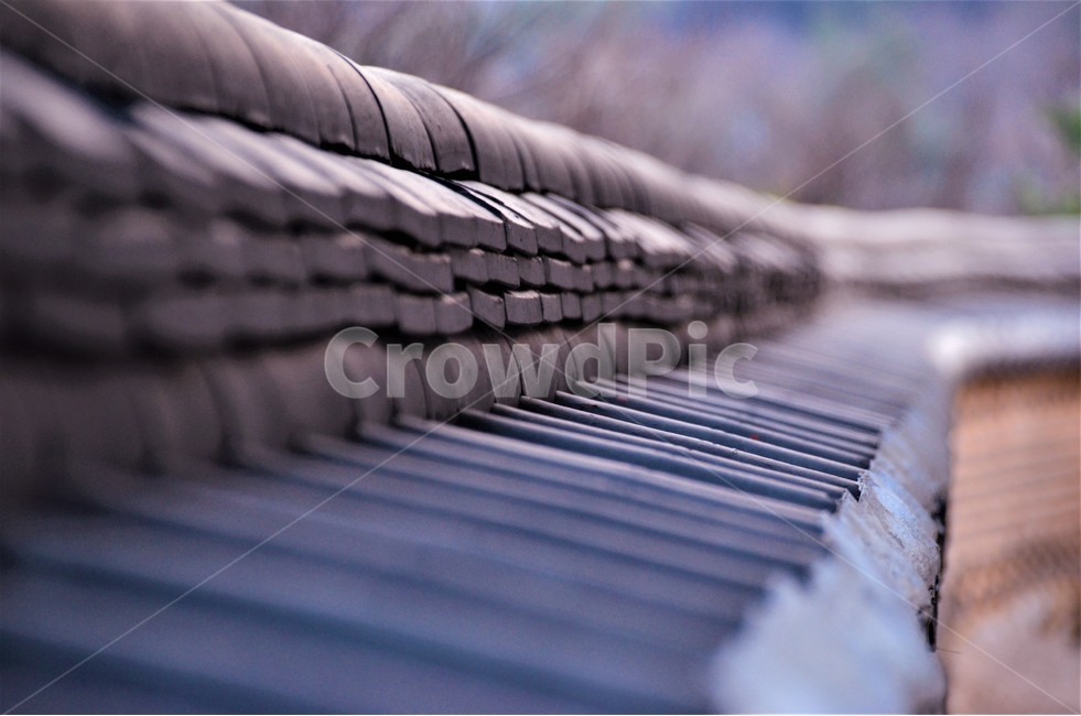 경주,기와,봄,감성,옛날,한국전통,한국문화,korean traditional,korean culture,건축물,건물외관,exterior,building,structure,architecture,construction