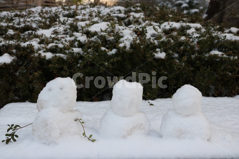 눈,겨울,흰색,눈사람,나무,나뭇가지,식물,초록,snow,yuki,winter,huyu,white,shiro,snowman,yukidaruma,tree,ki,plants,shokubutsu,green,midori,만들기,make,tsukuru