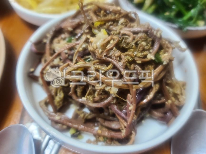 나물,삼색나물,고사리,제사음식,제사상