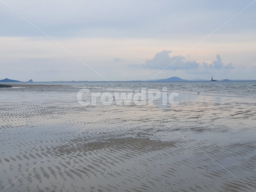 nature,자연,outdoors,옥외,land,나라,water,물,ocean,대양,sea,바다,갯벌,자월도,인천