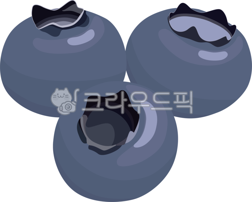 블루베리,blueberry,블루베리일러스트,과일,fruit,음식,food