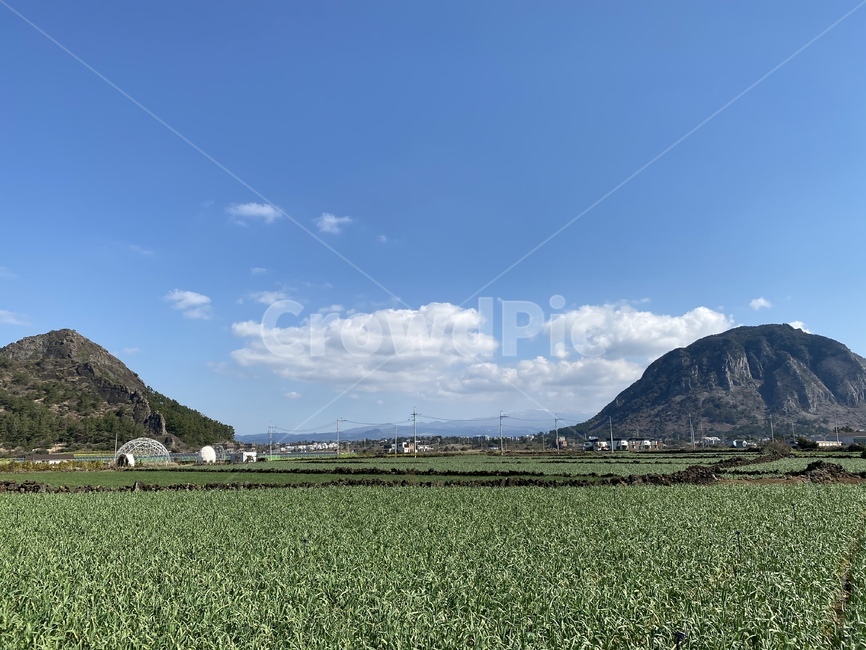 제주,해변,대정,산방산,nature,자연,outdoors,옥외,grassland,field,들