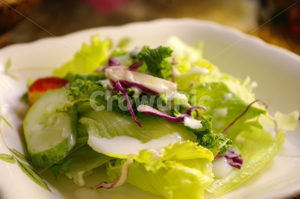 샐러드,요리,음식,야채,food,건강,헬스웨어,헬스케어,healthware,health care,음식,식재료,요리,food,cook,meal,dishes,food reserves