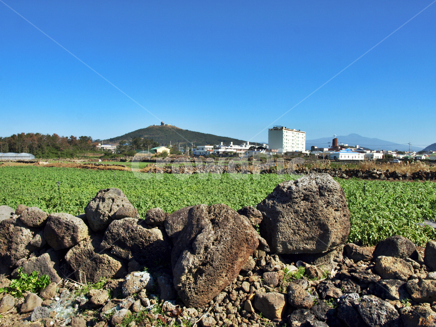 제주,올레11코스,올레코스,서귀포시,대정읍,밭,모슬봉,밭농사,제주도,jeju,jeju island,ground,바닥,rubble,파편