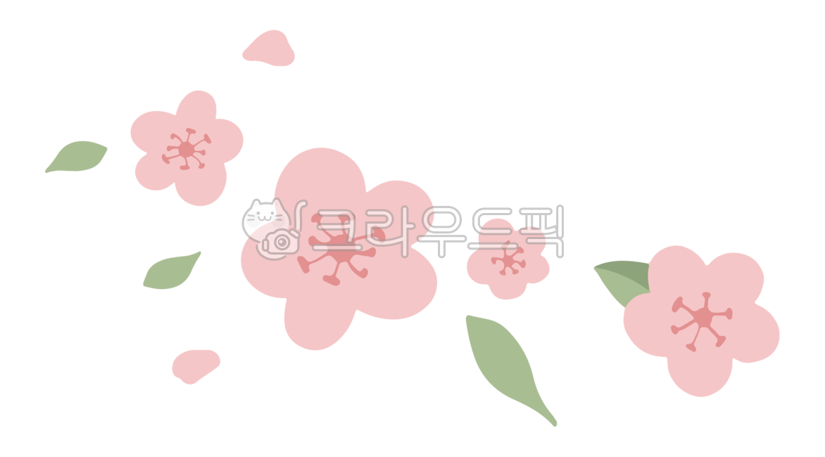 spring,spring image,Cherry Blossom,adornment,flower image,pink flower,flower