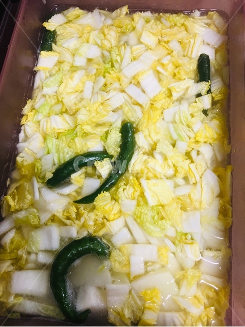 물김치,배추무물김치,백김치,김치,한국음식,음식,식재료,요리,food,cook,meal,dishes,food reserves,한식,한국음식,한국요리,korean food,korean dishes,korean meal,korean cook