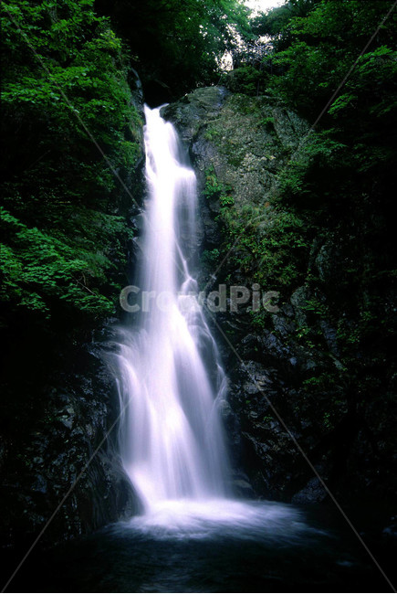 폭포,계곡,힐링,물,명산,시원함,cool,valley,healing,water,summer,휴식,쉼,맑은,흐르다,flow,mountain,waterfall,landscape,nature,자연풍경,자연,풍경,계절,시즌,rest,한국자연풍경,여름,자연,풍경,nature,landscape,한국자연풍경,한국자연경관,korea nature landscape,river,강,outdoors,옥외