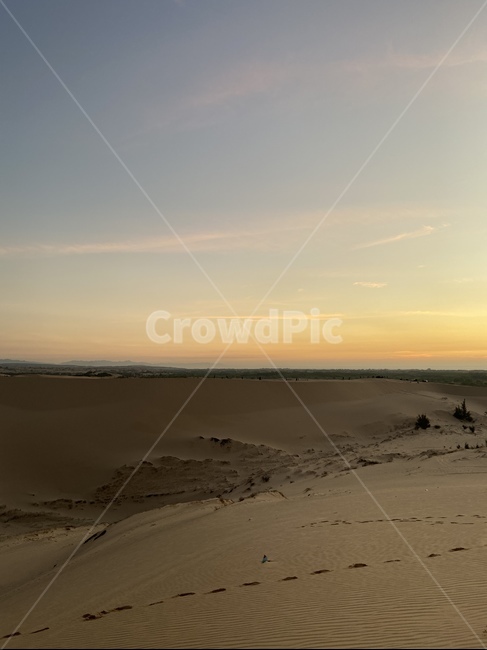 soil,흙,sand,모래,dune,모래언덕,자연,사막,사구