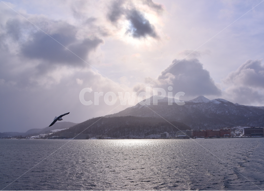 갈매기,비상,호수,겨울,새,seagull,bird,lake,winter,자연,풍경,nature,landscape,동물,animal,조류,새,birds,outdoors,옥외,land,땅