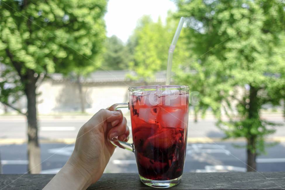 여름,nature,초여름,녹색,green,음료수,drink,beverage