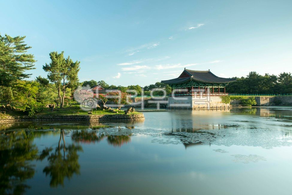 경주,관광지,문화재,동궁과월지,문화유산,국민관광지,경상북도,건물,건축물