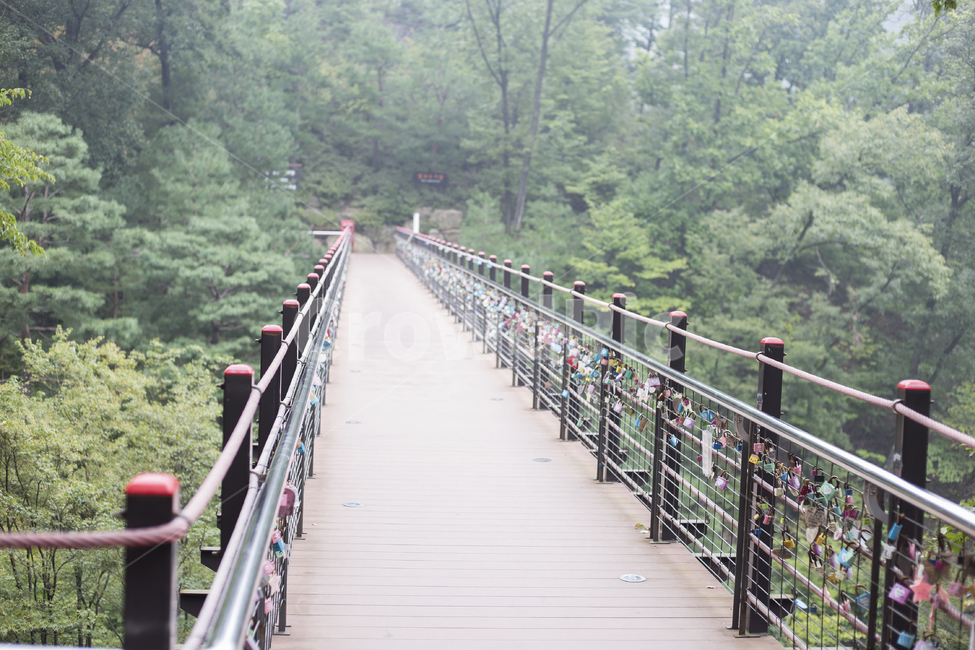 소원다리,브릿지,bridge,만남,연결,바램,바람,풍경,경치,자연,풍경,nature,landscape,한국자연풍경,한국자연경관,korea nature landscape,handrail,난간,banister,railing